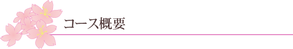 コース概要